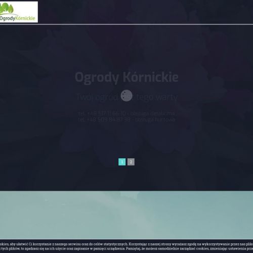 Poznań - drzewa alejowe