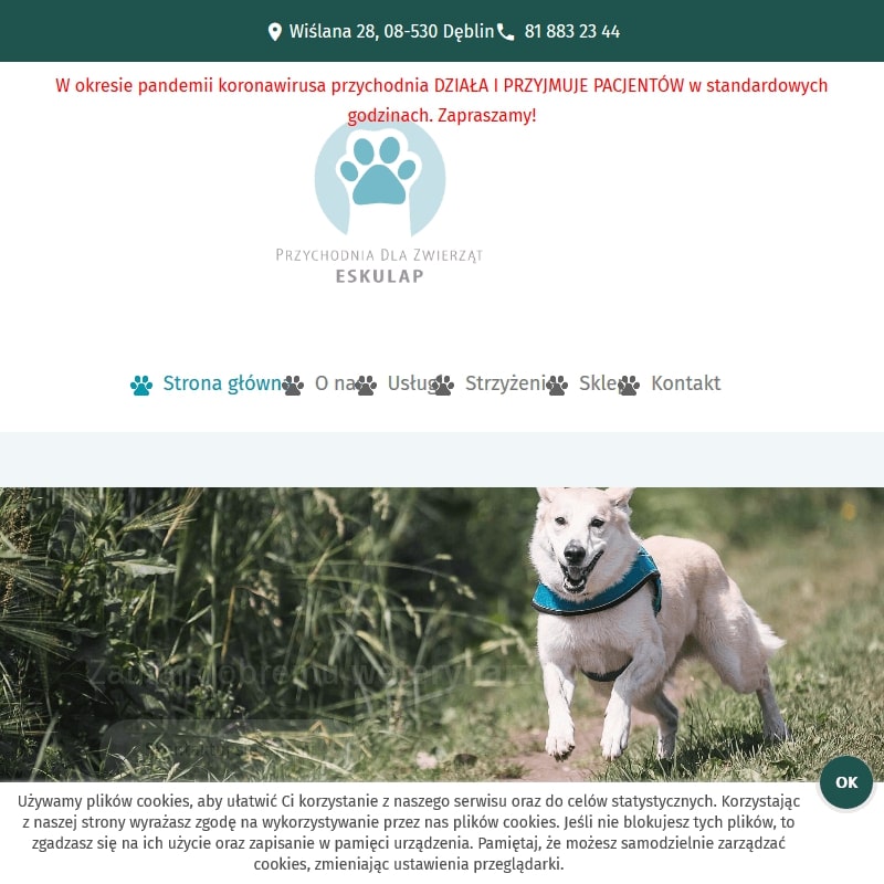 Weterynarz lubelskie w Dęblinie