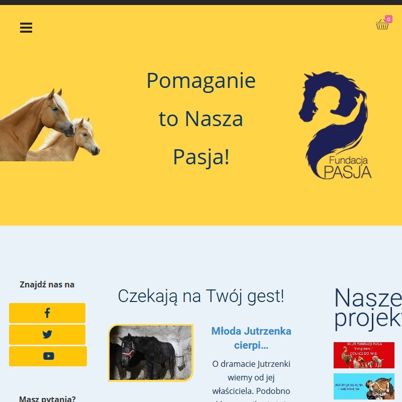 Wpłata na zwierzęta fundacja