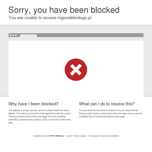 Gryzaki dla psa na zęby