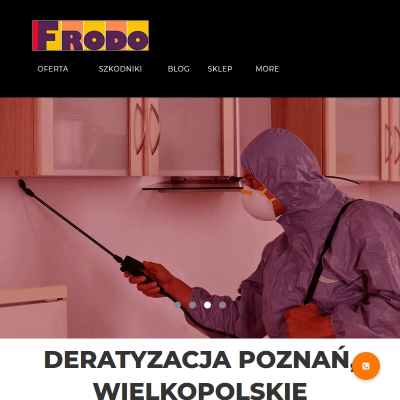 Odpluskwianie w Poznaniu